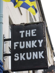 Funky Skunk, sign, Killarney, Ireland, Dani Wade, Ella Sheridan