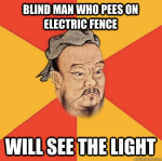 Pee on Electric Fence