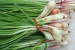 Green Onions, food, white chicken chili