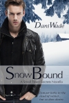 Snow Bound, Small Town Secrets, novella, romance, cover artist
